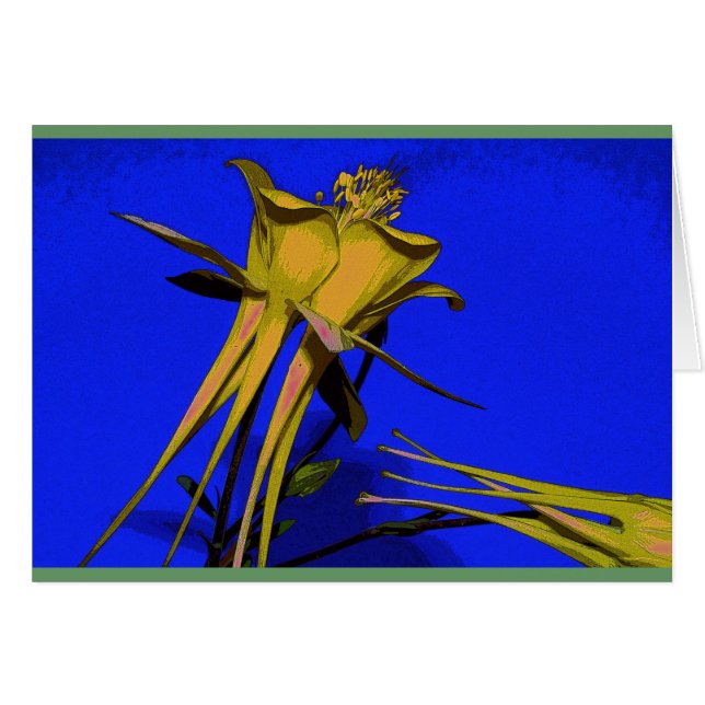 Photograph of yellow columbine (Front Horizontal)