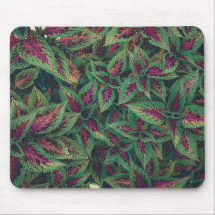 Photograph - Red and Green Leaves Mouse Mat
