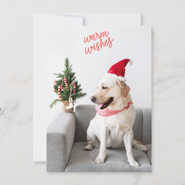 Photograph Warm Wishes with Custom Rear Text Holiday Card (Front)