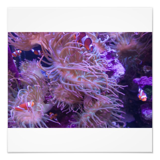 Photograph #Y008 on LARGE Photograph (Front)