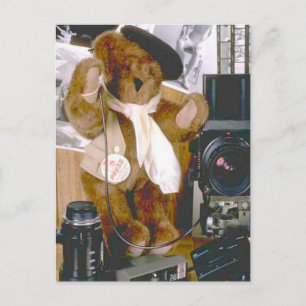 Photographer Bear - Press Journalist Postcard