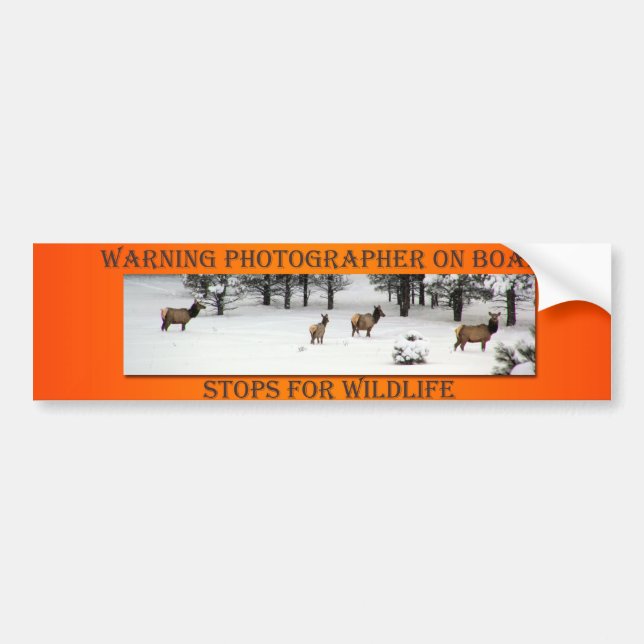 Photographer On Board Elk Orange Bumper Sticker (Front)