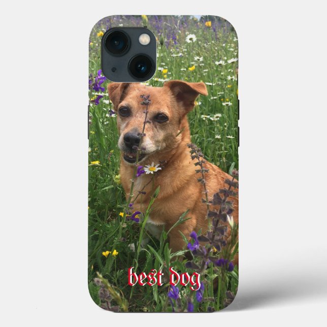 Photographer Phone Cover (Back)