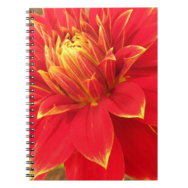 Photographic Floral  Notebook (Front)
