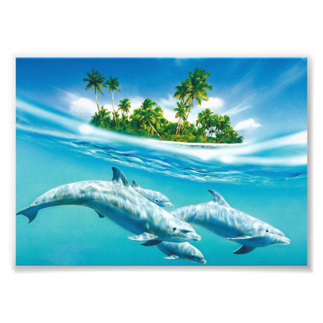 Photographic Print-Dolphins Photo Print (Front)