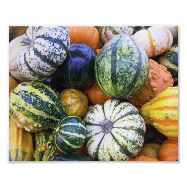 Photographic Print Fall Harvest (Front)