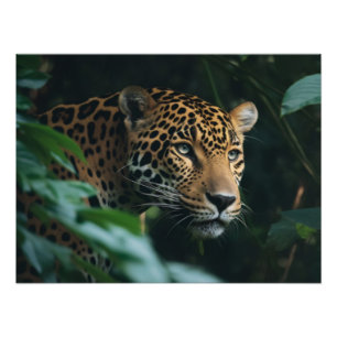 Photographic Print-Leopard Photo Print