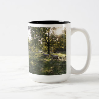 Photographing Sheep Two-Tone Coffee Mug