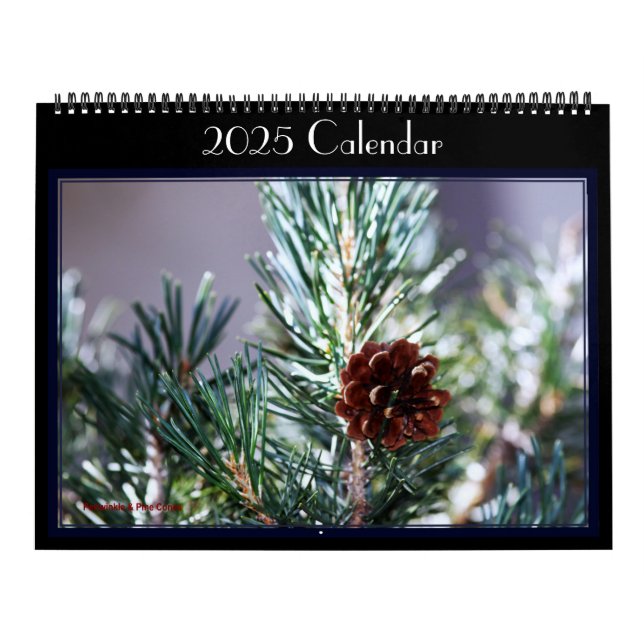 Photographs of various birds in a garden. Calendar (Cover)