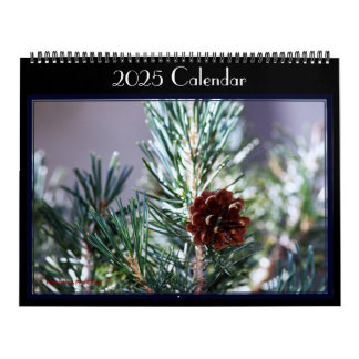 Photographs of various birds in a garden. Calendar