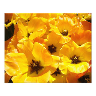 Photography art prints Yellow Tulip Flowers Floral