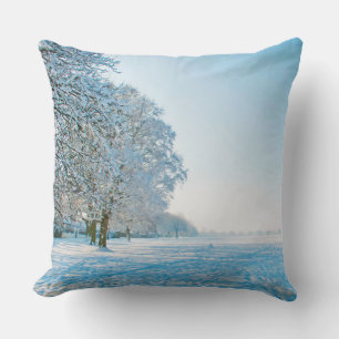 Photography - beautiful Winter Park + your ideas Cushion