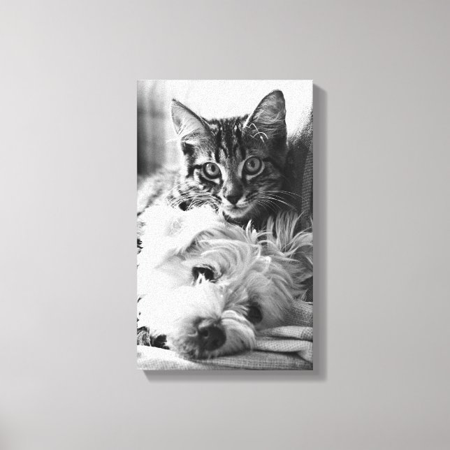 Photography Best of Friends Canvas Print (Front)