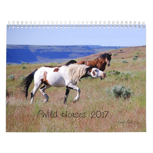 Photography By Carolyn 2017 Wild Horse Calendar (Cover)