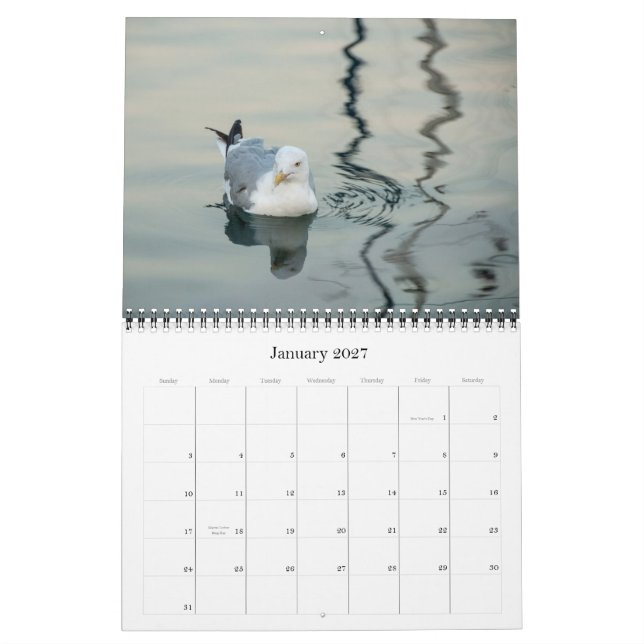 Photography Calendar 2013 (Jan 2027)