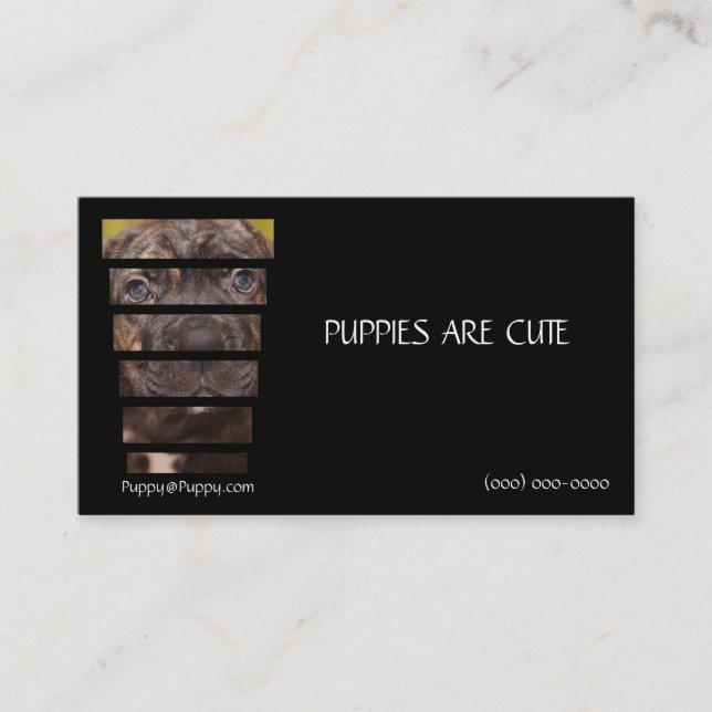 Photography Cane Corso Puppy Business Card (Front)