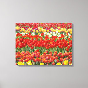 Photography Canvas Prints Tulip Flowers Floral