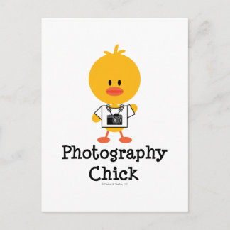 Photography Chick Postcard