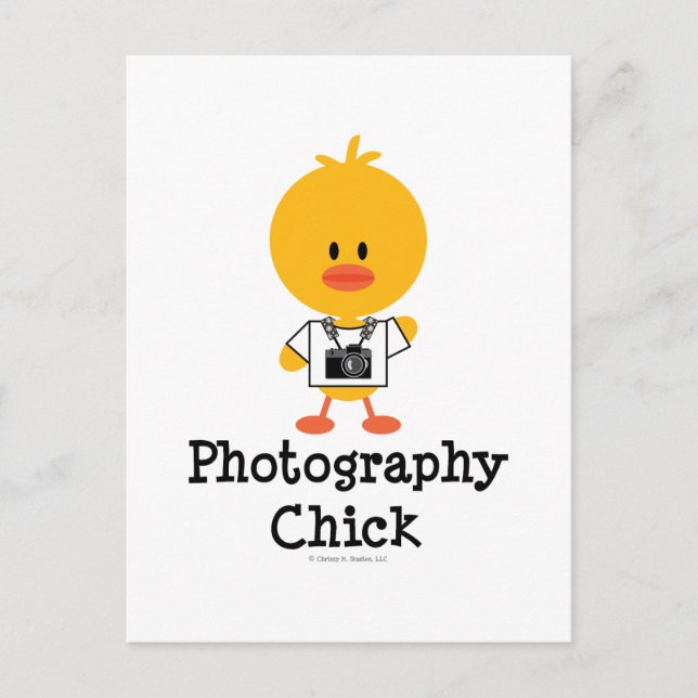 Photography Chick Postcard (Front)