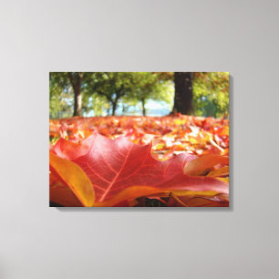 Photography nature Wall Art Decor Fall Leaves Red