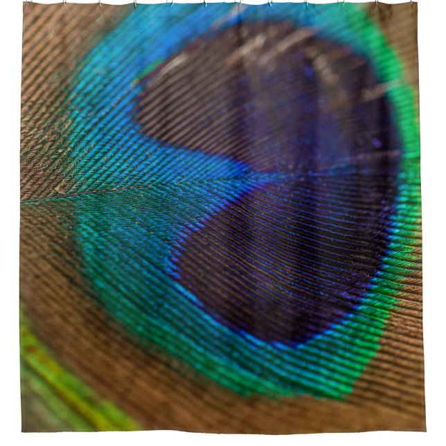 Photography of peacock feather shower curtain (Front)