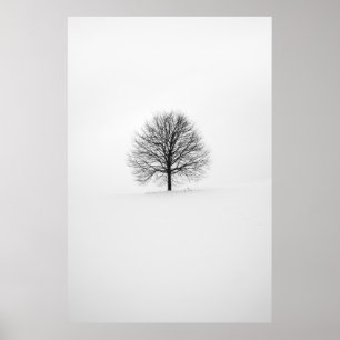 PHOTOGRAPHY OF TREE POSTER