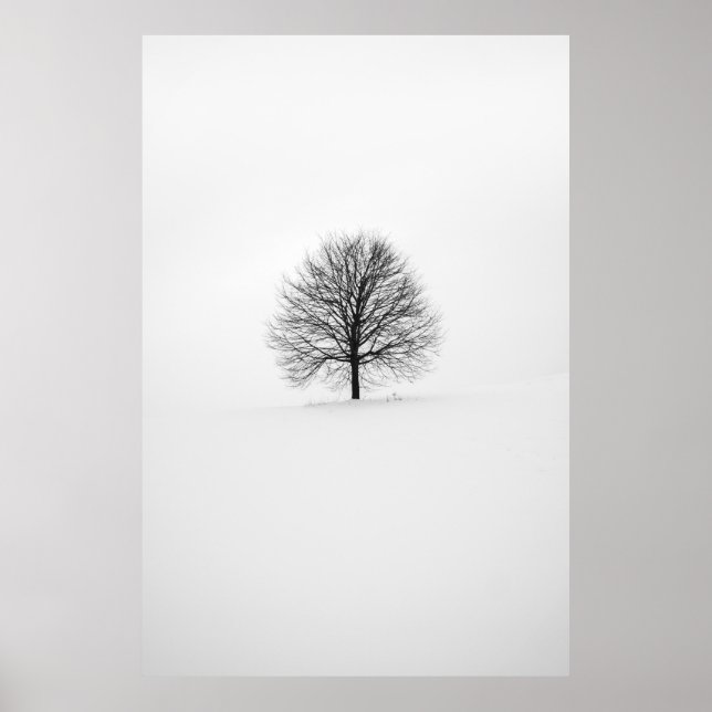 PHOTOGRAPHY OF TREE POSTER (Front)