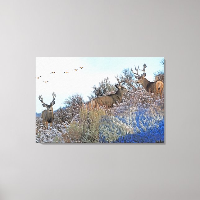 Photography photoshop art canvas print (Front)