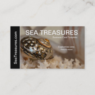 Photography SeaShells Business Card