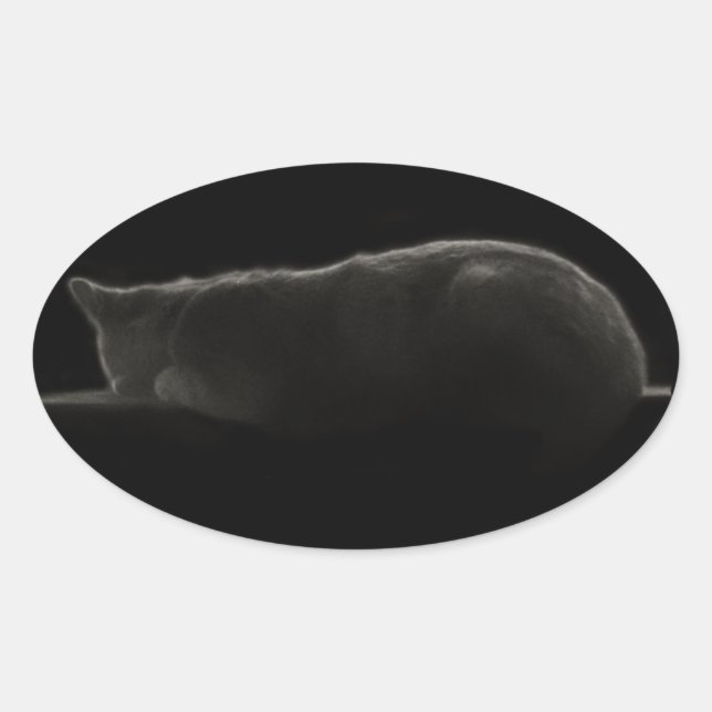 Photography Sleeping Cat Oval Sticker (Front)
