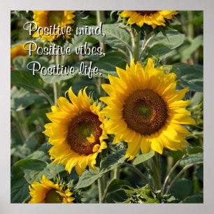 Photography Sunflowers in Nature Personalized Poster