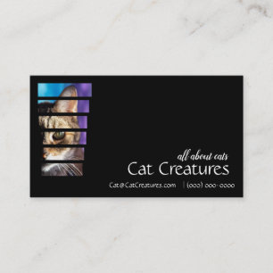 Photography Tabby Cat Business Card