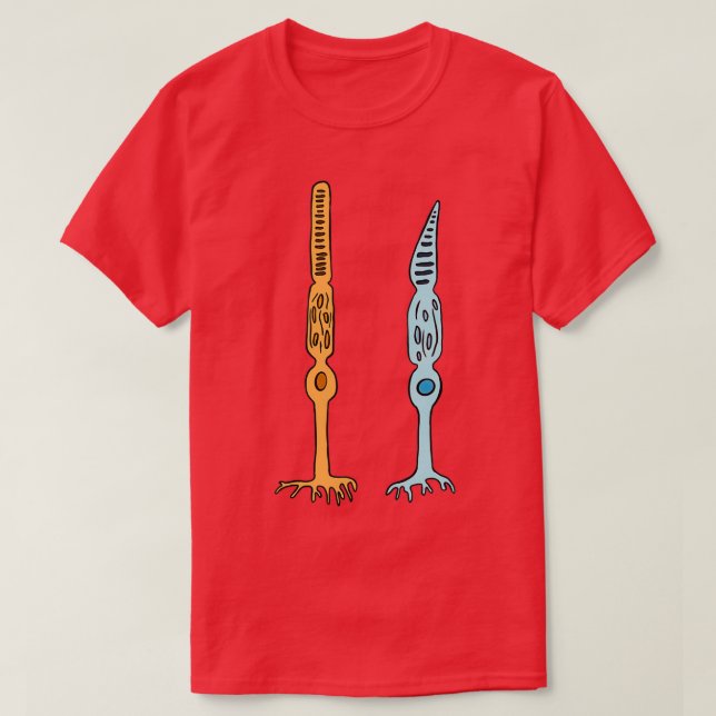 Photoreceptors Rods And Cones Eyes  T-Shirt (Design Front)