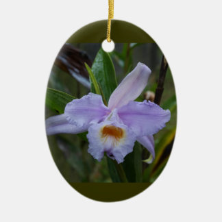 Photos Ceramic Tree Decoration