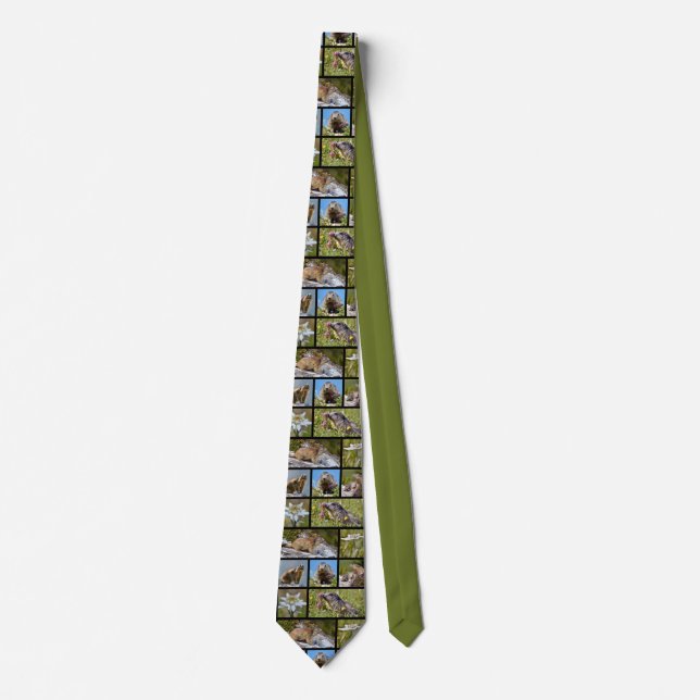 Photos mosaic Alpine marmots and edelweiss Neck Ti Tie (Front)