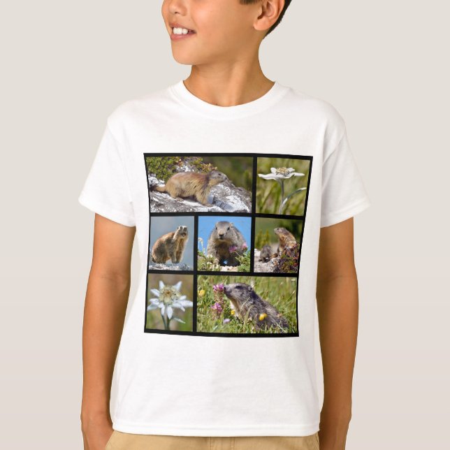 Photos mosaic Alpine marmots and edelweiss T-Shirt (Front)