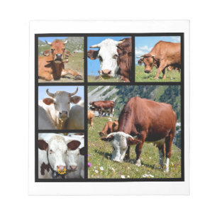 Photos mosaic of cows notepad