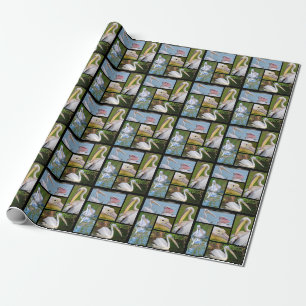 Photos mosaic of pelicans wrapping paper