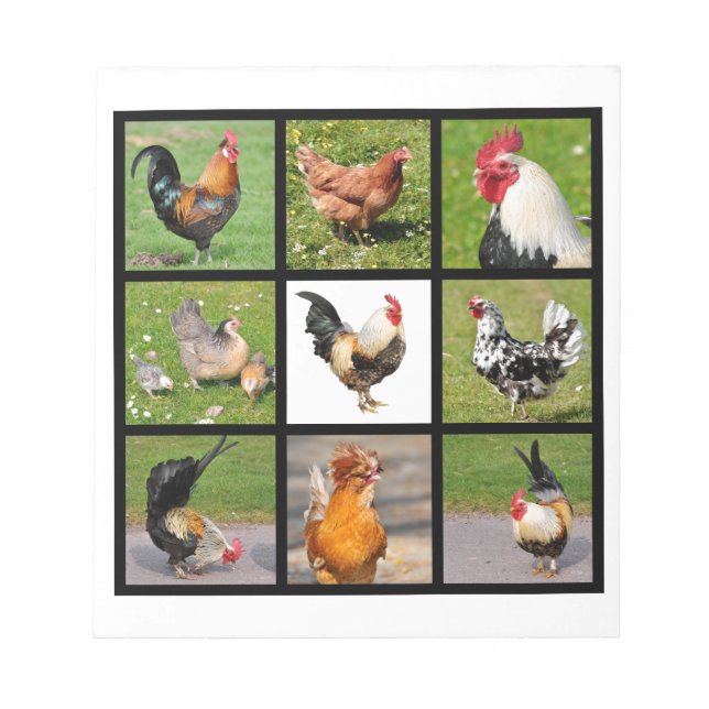 Photos mosaic of roosters and hens notepad (Front)