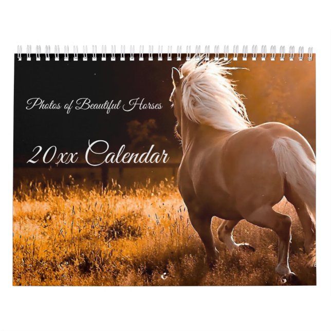 Photos of Beautiful Horses Calendar (Cover)