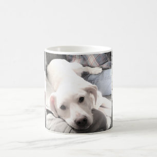 Photos of Cute White Dog Hanging Out With Dad Coff Coffee Mug
