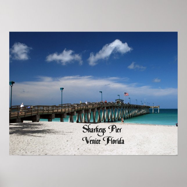 Photos of different areas of the United States Poster (Front)