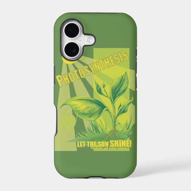 Photosynthesis (Back)