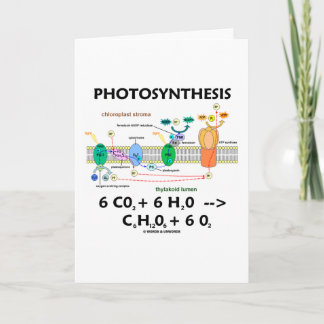 Photosynthesis (Carbon Dioxide + Water) Card