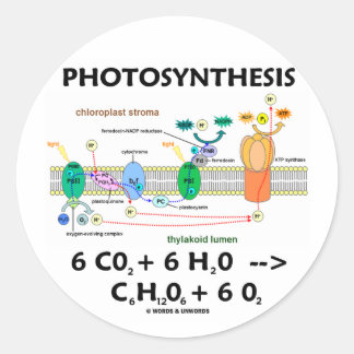 Photosynthesis (Carbon Dioxide + Water) Classic Round Sticker