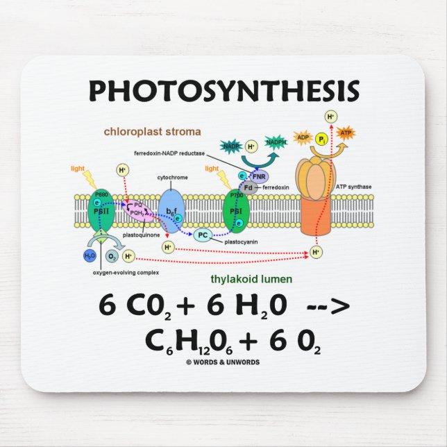 Photosynthesis (Carbon Dioxide + Water) Mouse Mat (Front)