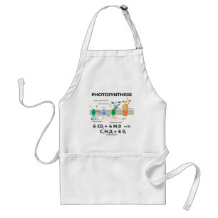 Photosynthesis (Carbon Dioxide + Water) Standard Apron