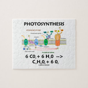 Photosynthesis (Chemical Formula Light-Dependant) Jigsaw Puzzle