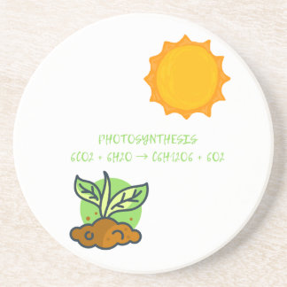 Photosynthesis  coaster
