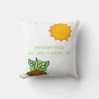 Photosynthesis Cushion